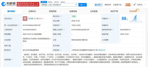 高德在上海成立銷服科技公司，注冊(cè)資本100萬，聚焦信息技術(shù)咨詢服務(wù)